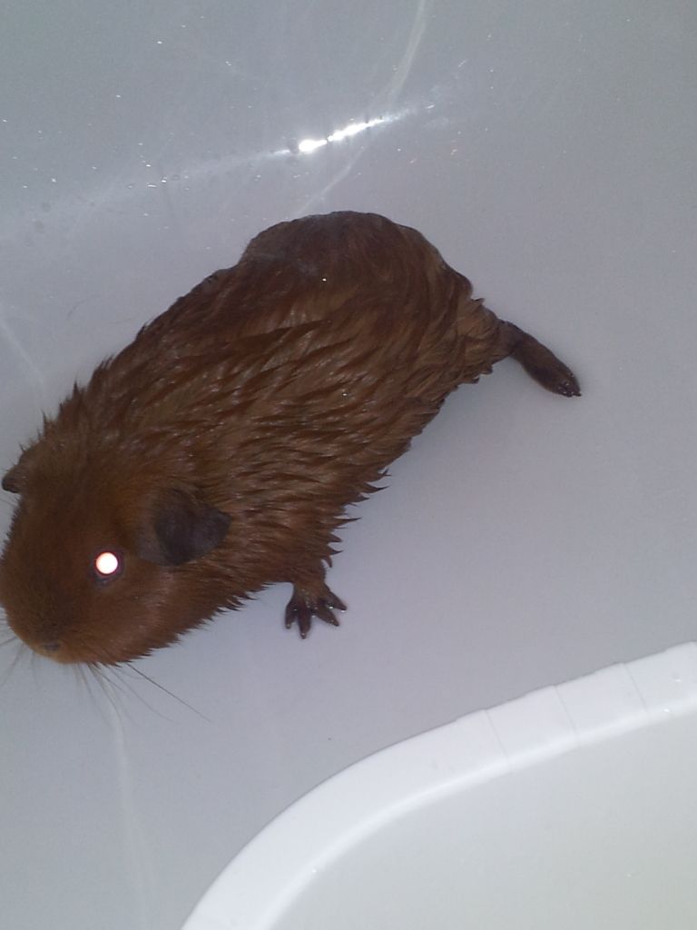 20120706_143859.jpg