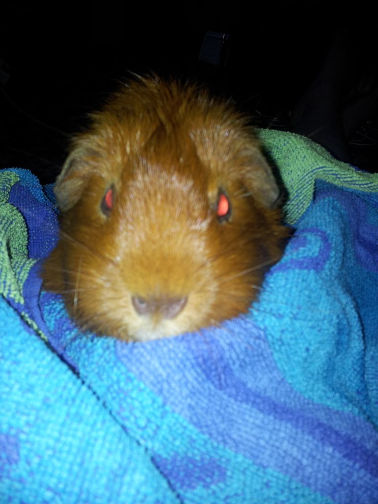 20120706_150710.jpg