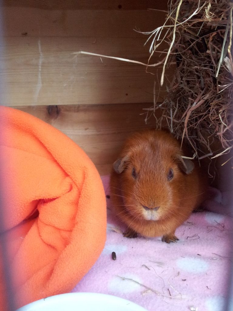 20120711_201106.jpg