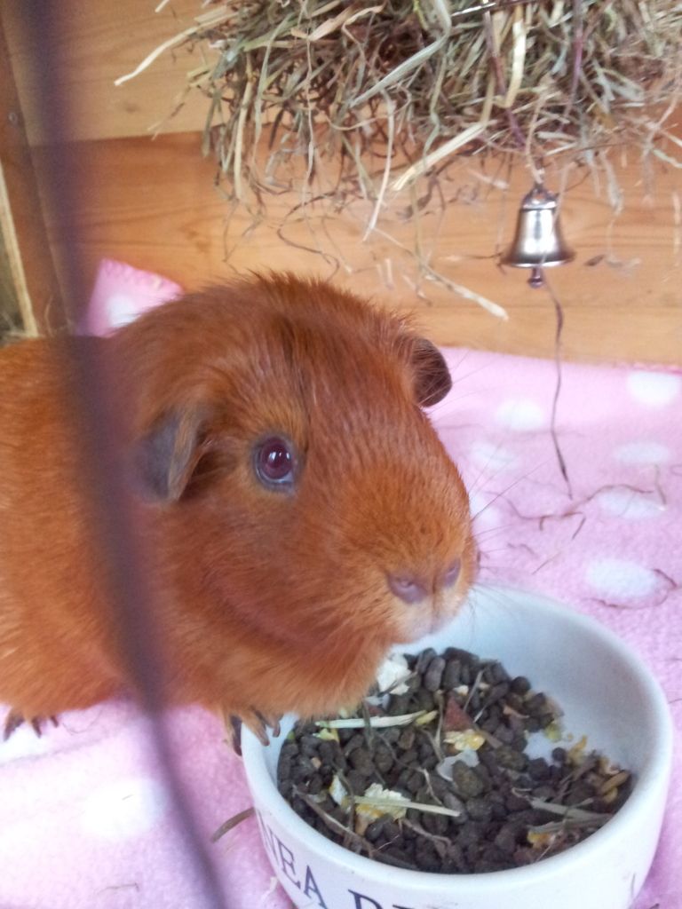 20120711_201235.jpg