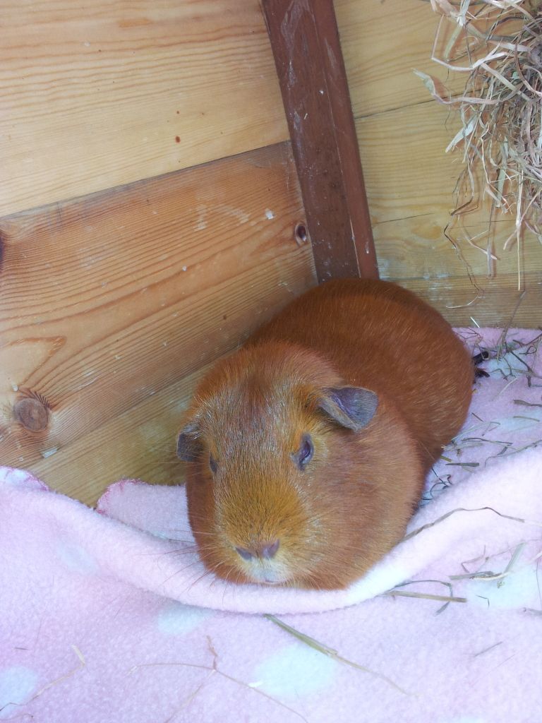 20120712_125227.jpg