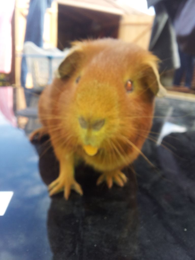 20120715_170822.jpg