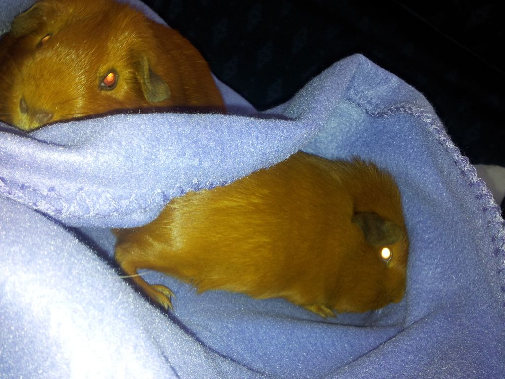 20120717_134457.jpg