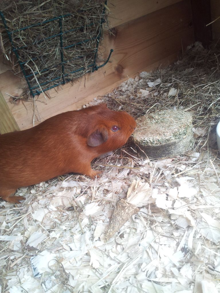 20120720_143730.jpg
