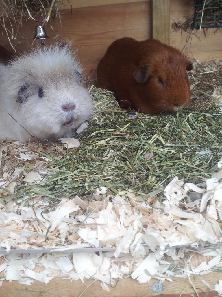 20120720_154519.jpg