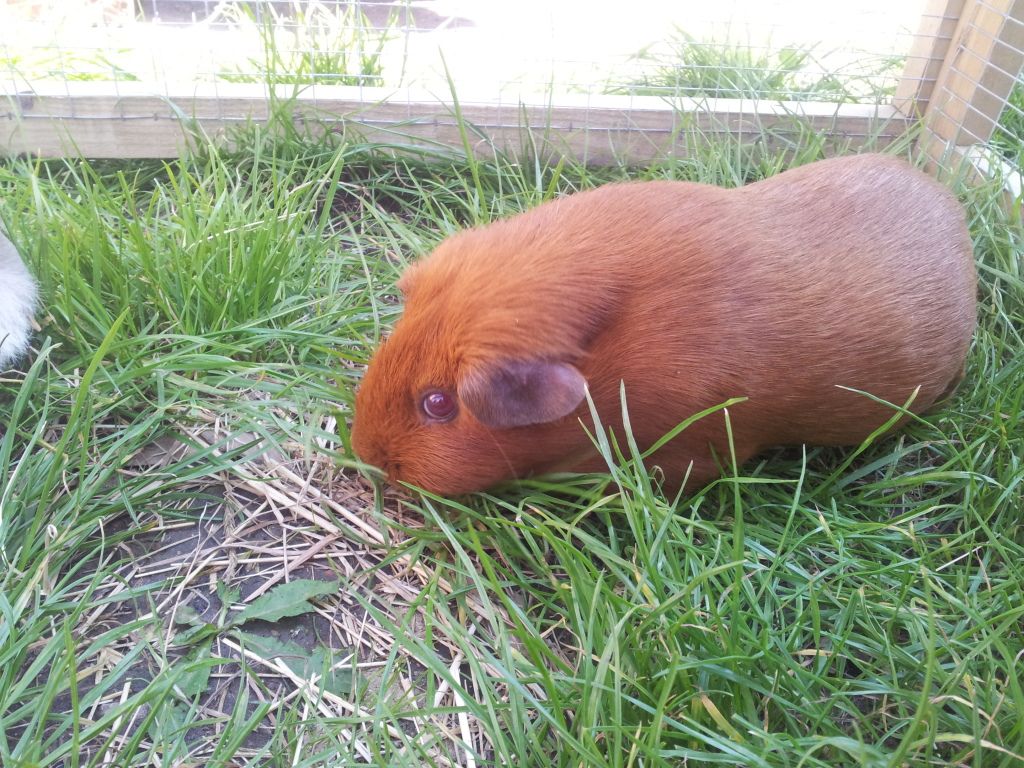 20120722_110005.jpg