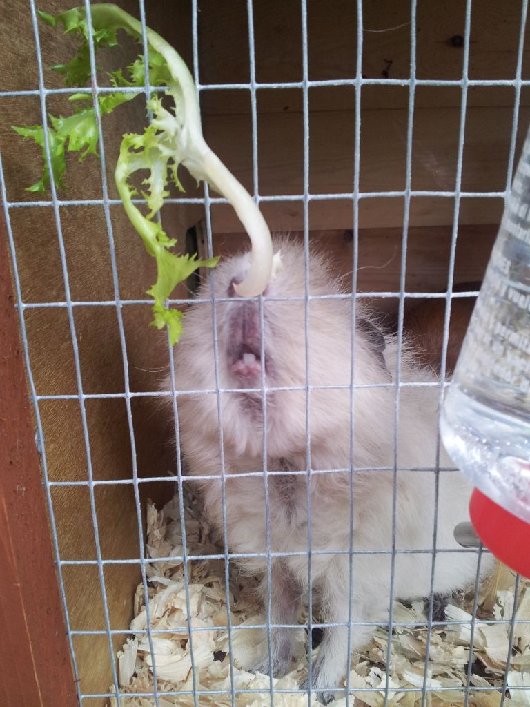 20120723_094227.jpg