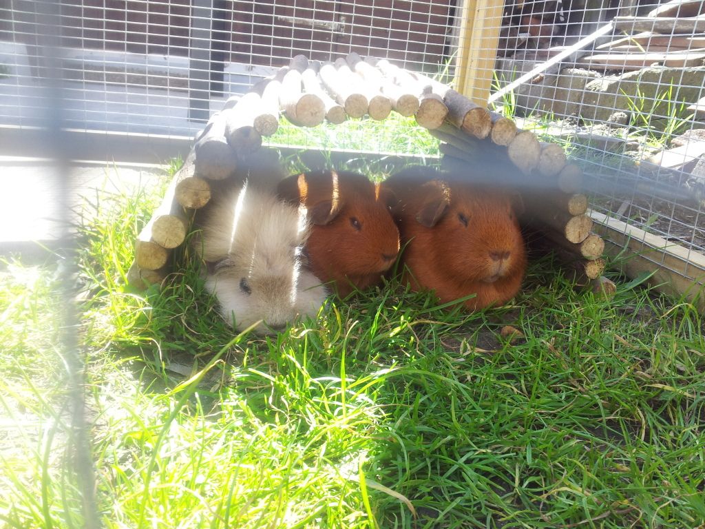 20120723_113346.jpg