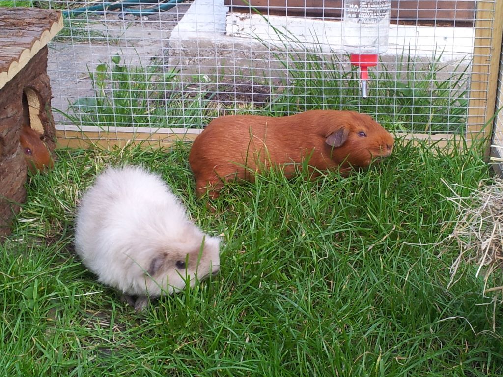 20120725_184033.jpg