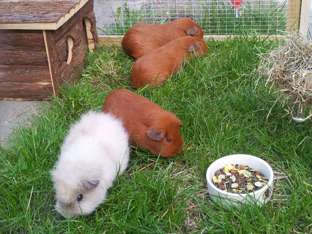 20120725_184151.jpg