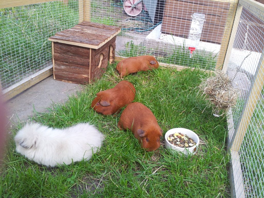 20120725_184330.jpg