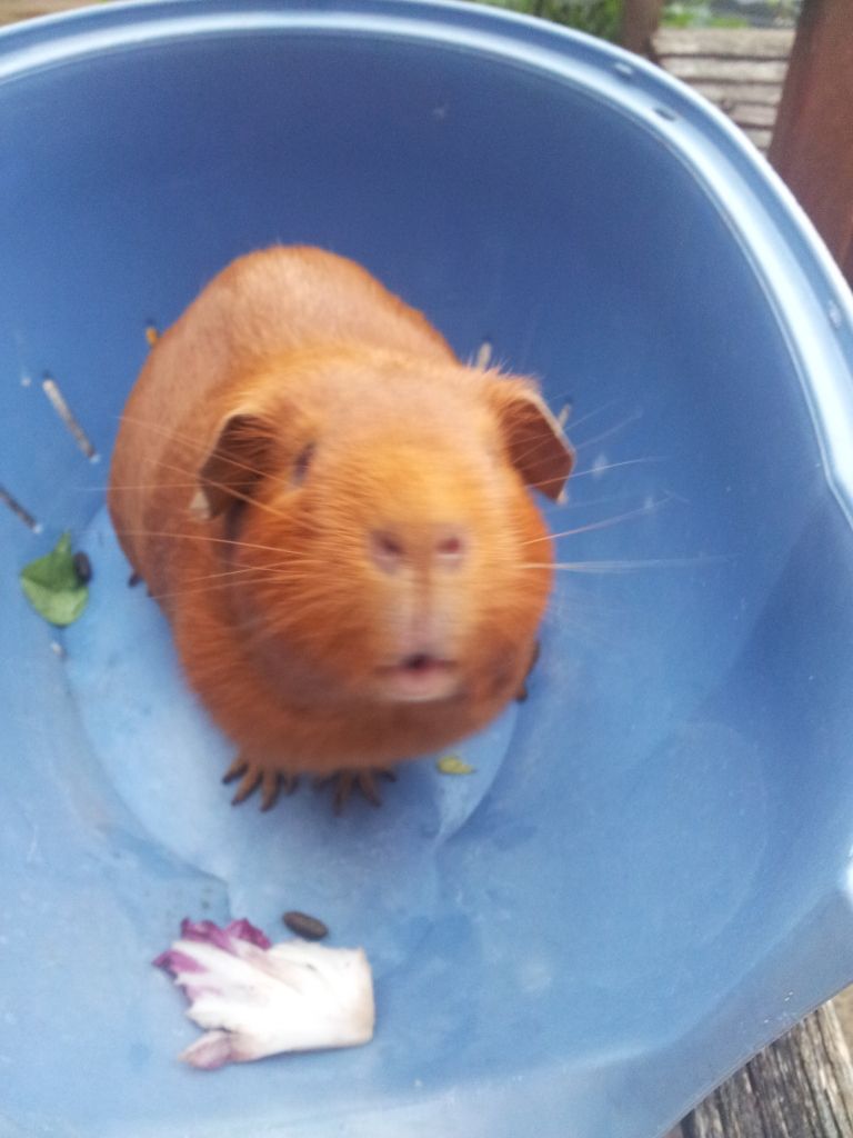 20120725_201641.jpg