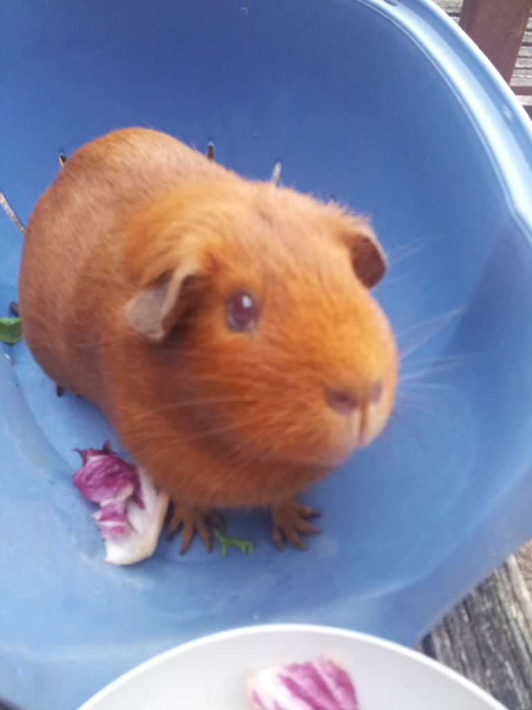 20120725_201746.jpg