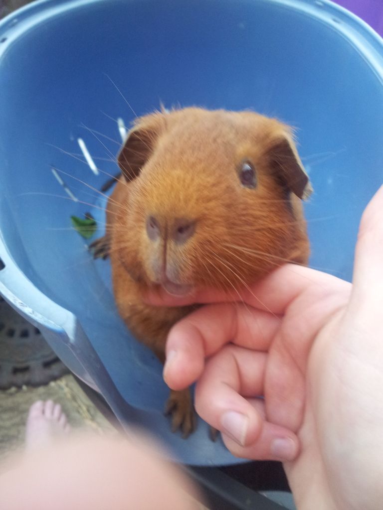 20120725_202027.jpg