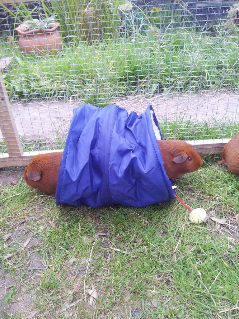 20120729_171557.jpg
