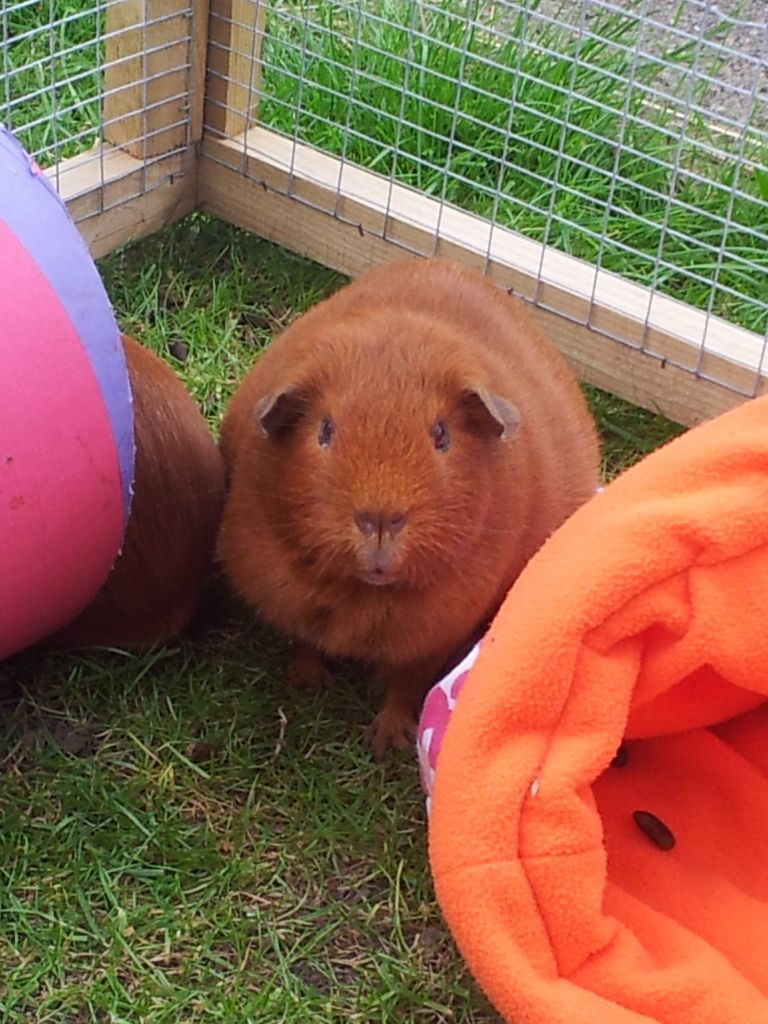 20120729_172642.jpg