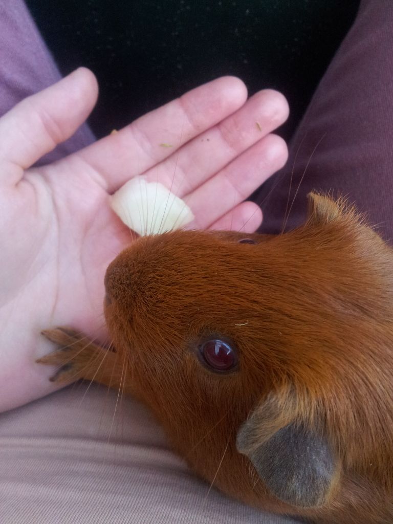 20120730_201443.jpg