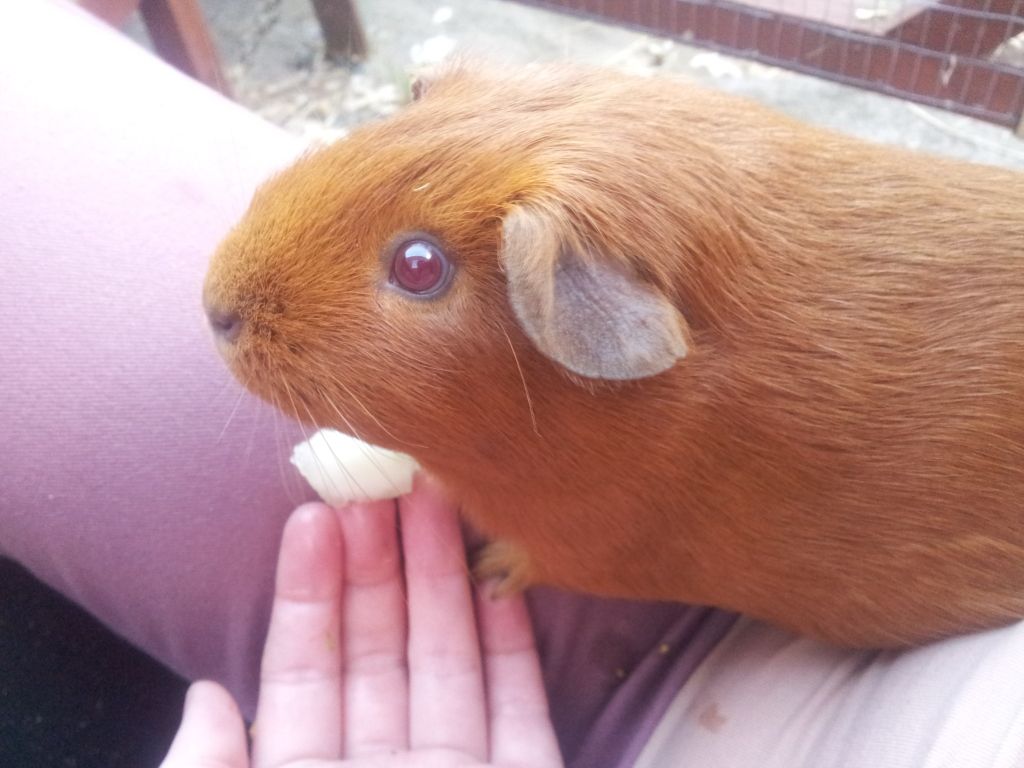 20120730_201523.jpg