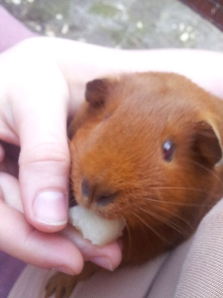 20120730_201609.jpg
