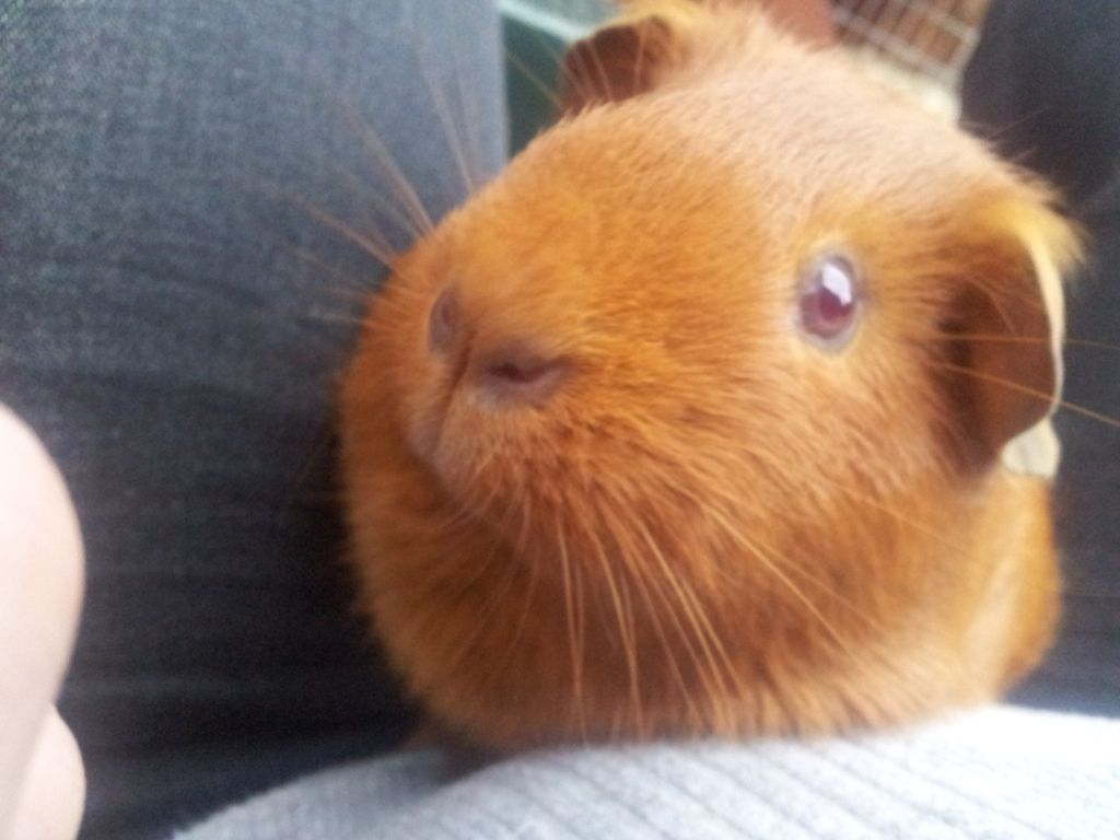 20120802_201155.jpg