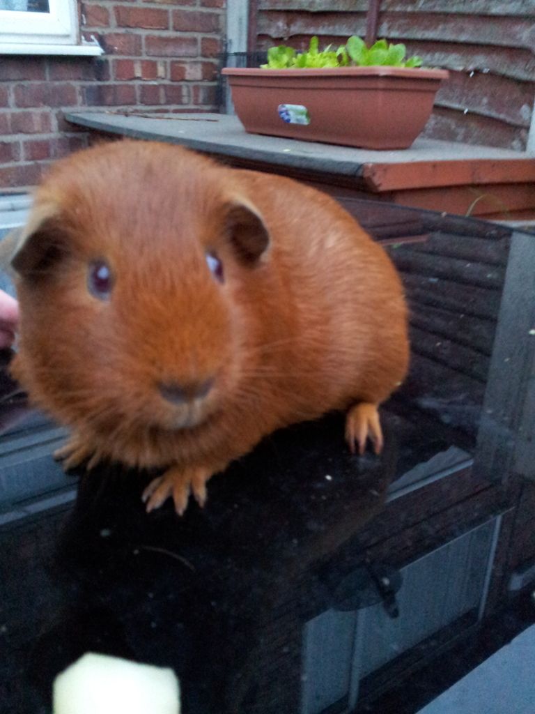 20120803_205922.jpg