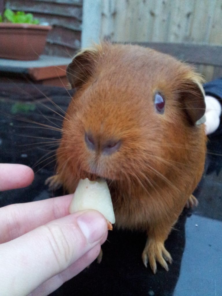 20120803_205943.jpg