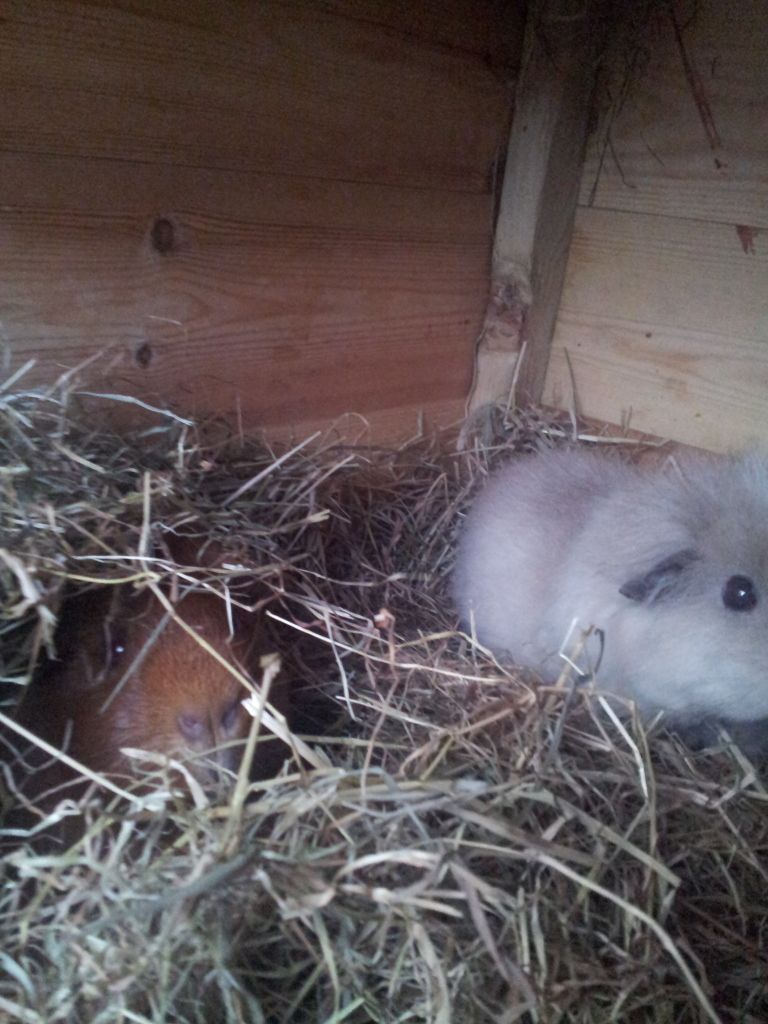 20120805_202807.jpg