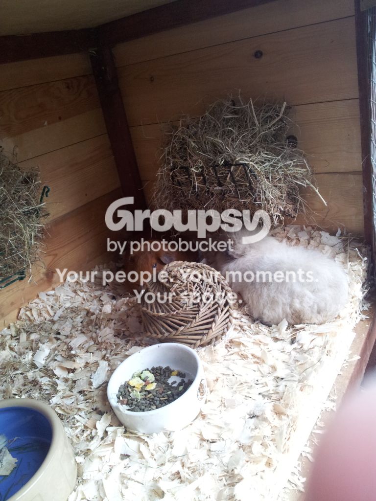 20120810_185721.jpg