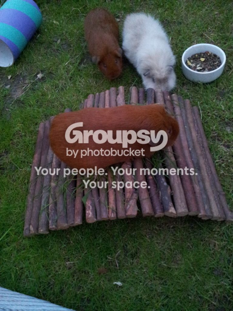 20120810_205821.jpg