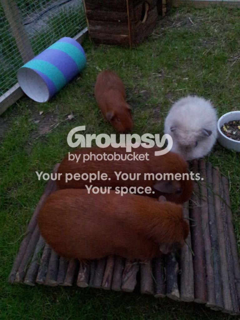 20120810_210058.jpg