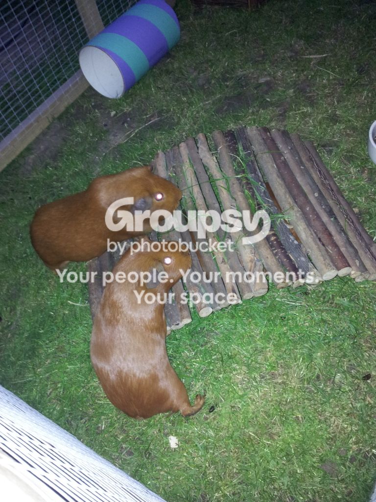 20120810_210829.jpg