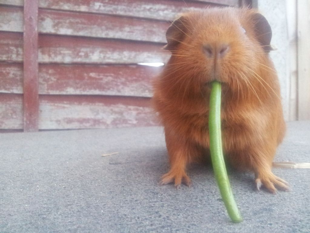 20120813_202529.jpg