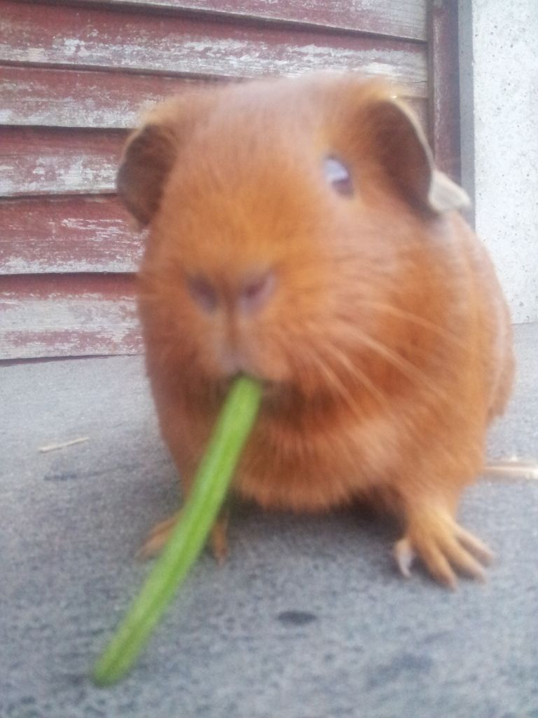 20120813_202610.jpg