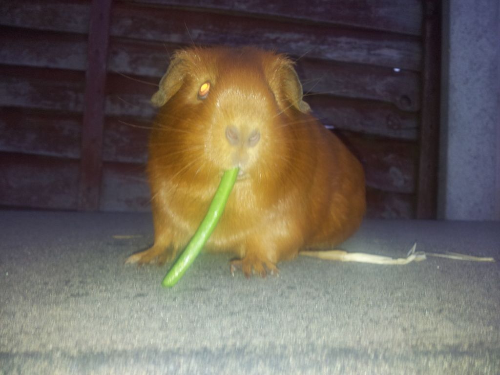20120813_202625.jpg