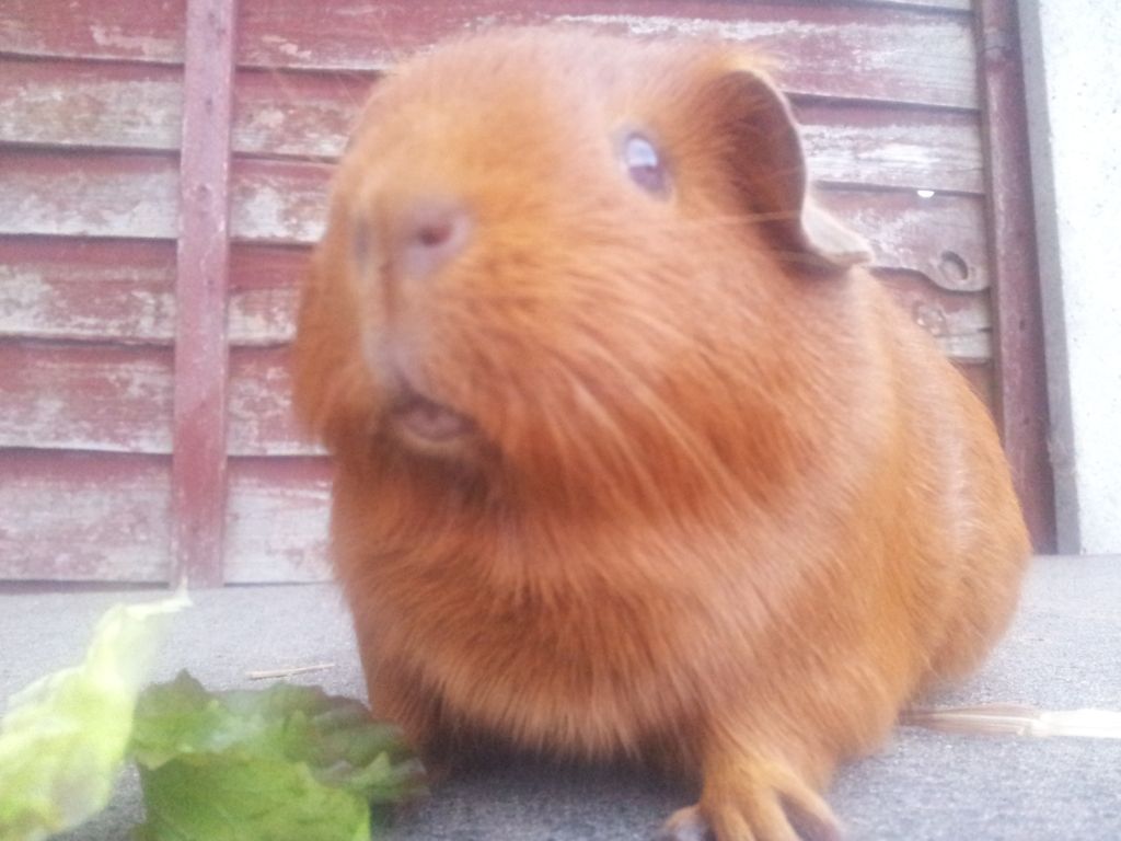 20120813_202720.jpg
