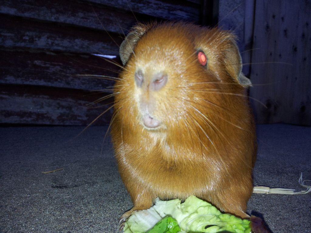 20120813_202822.jpg