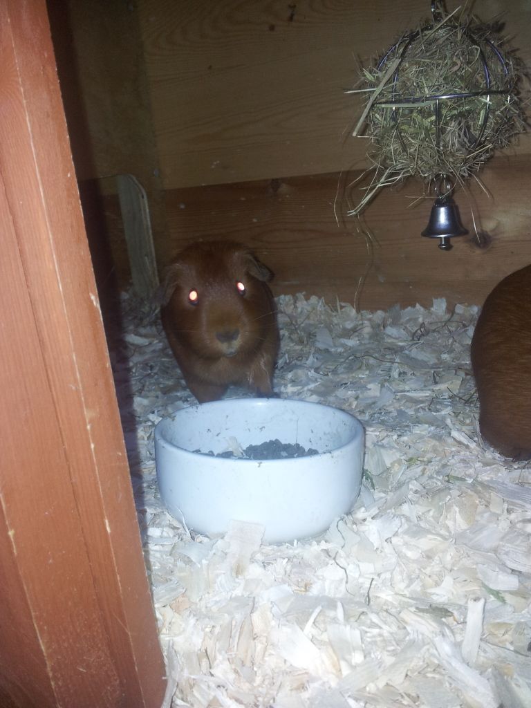 20120819_201443.jpg