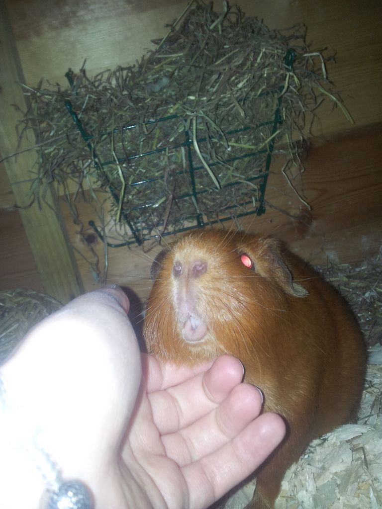 20120819_201504.jpg