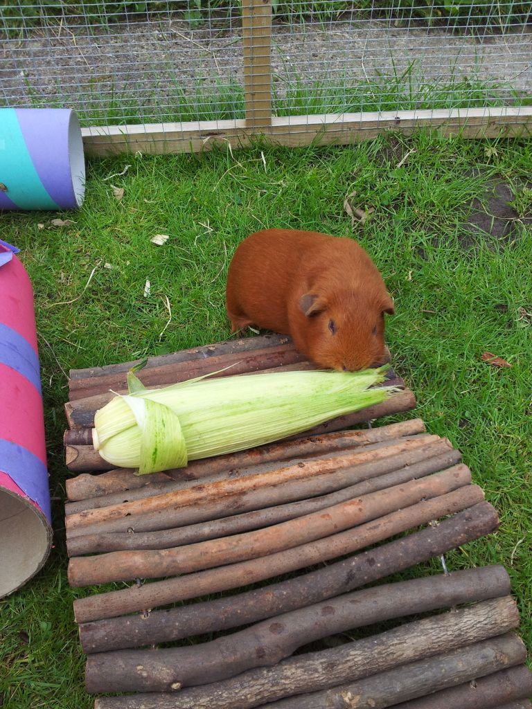 20120825_170808.jpg