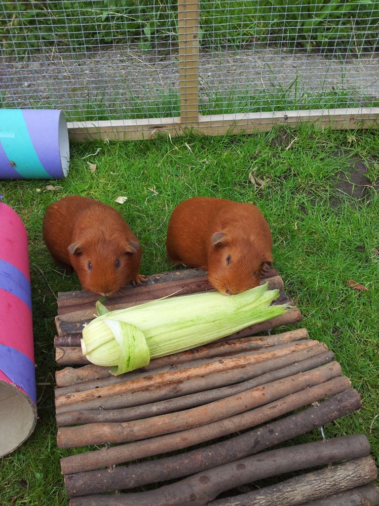 20120825_170833.jpg
