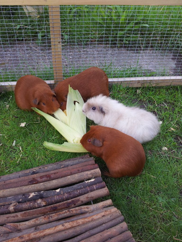 20120825_171159.jpg