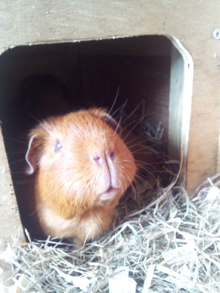 20120826_155753.jpg