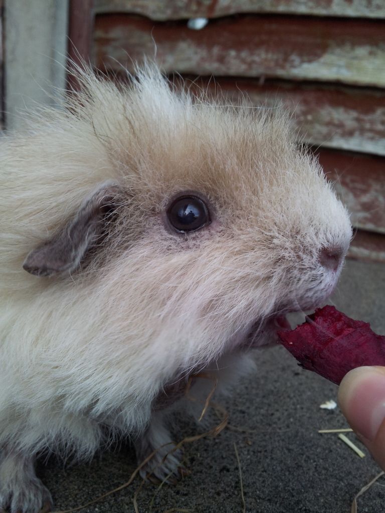 20120903_181210.jpg