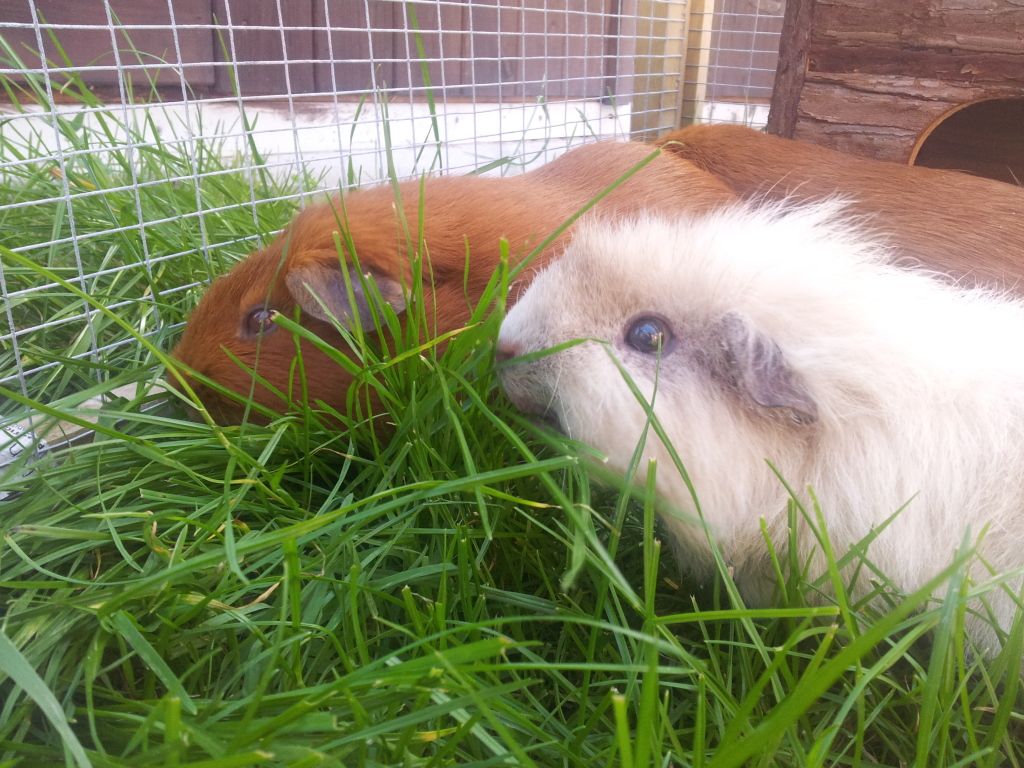 20120907_135119.jpg