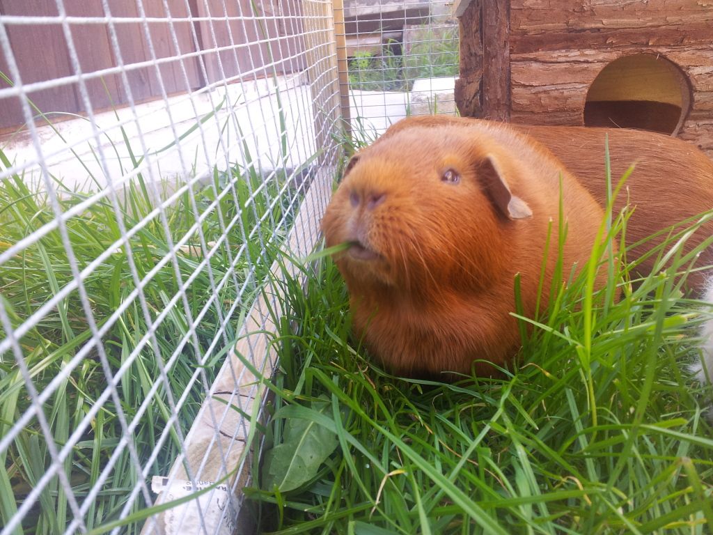 20120907_135220.jpg