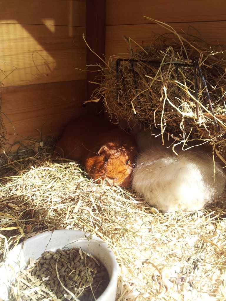 20120908_145104.jpg