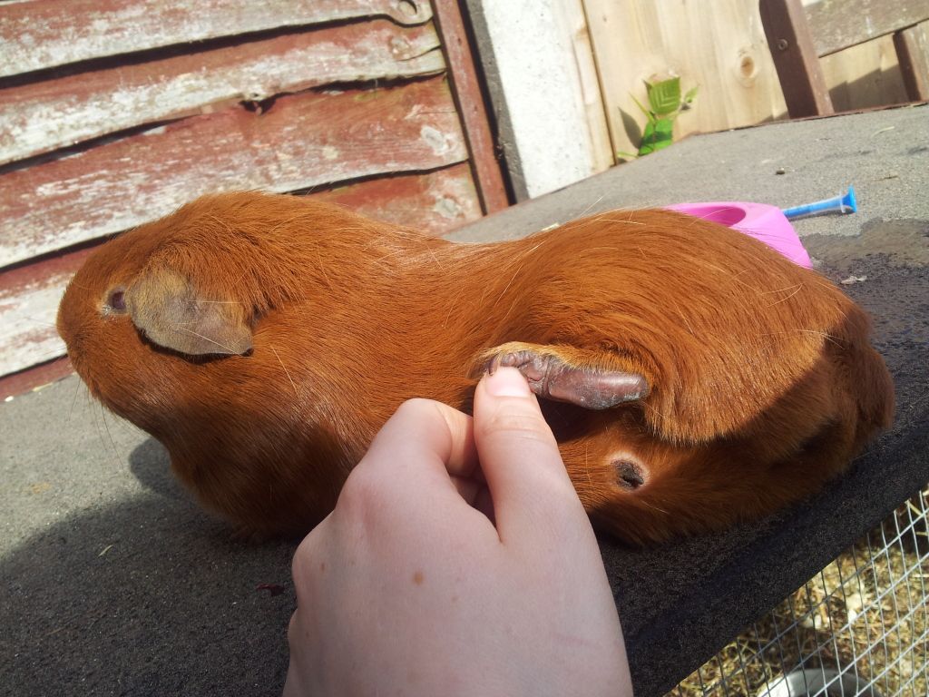 20120908_152515.jpg