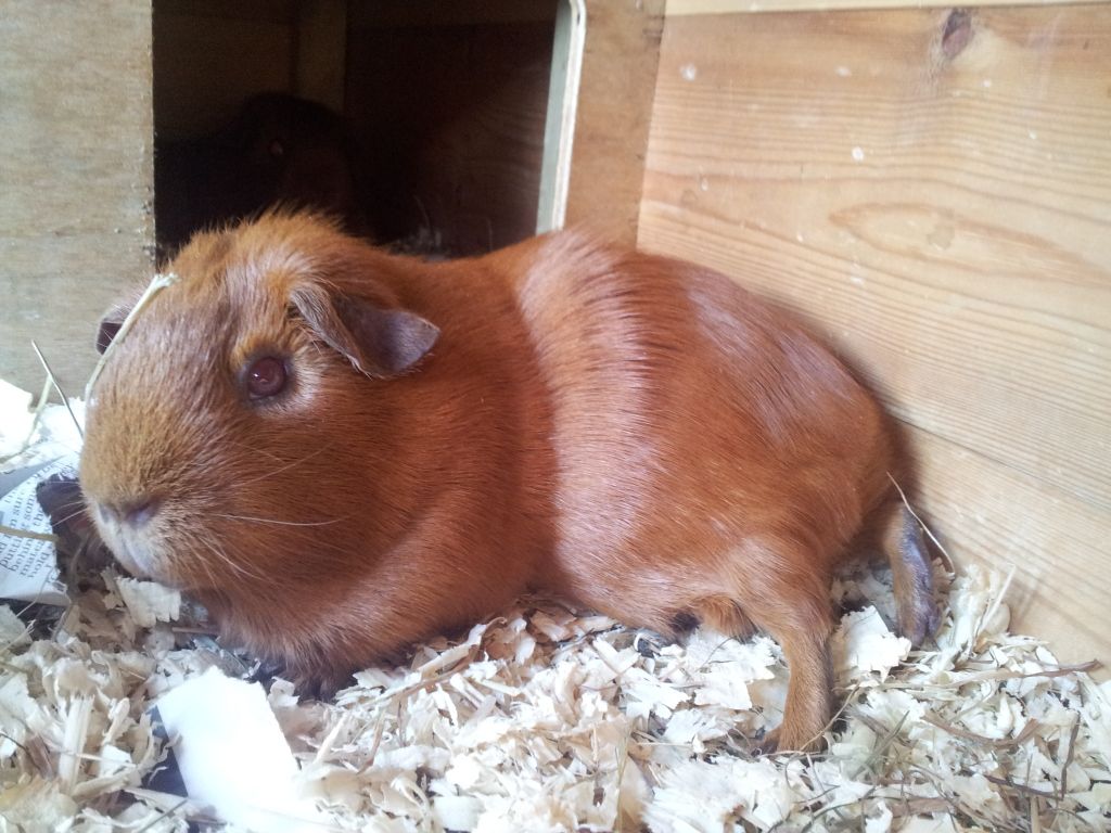20120908_155243.jpg