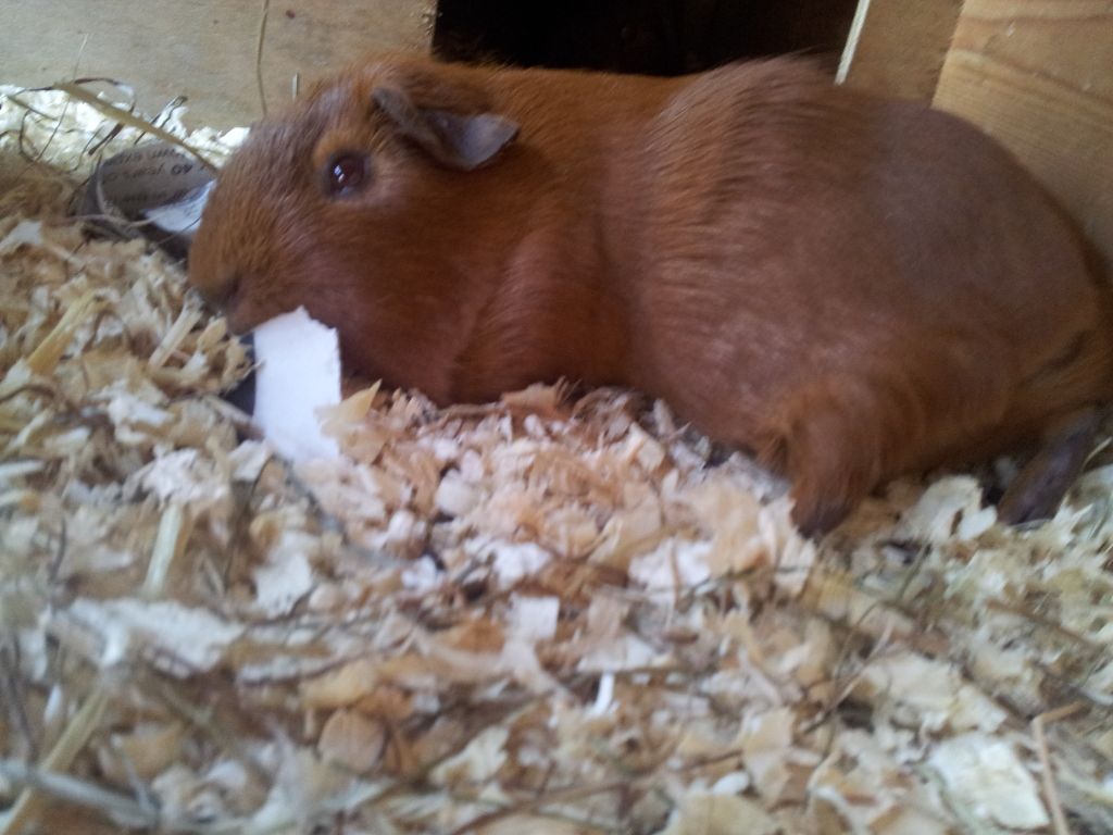 20120908_155450.jpg