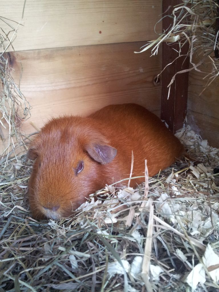 20120908_160758.jpg